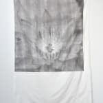 Sally Barron, Fragments of a Walk, 2024