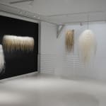 Yvonne Pacanovsky Bobrowicz, Cosmic Series Linear, 2008