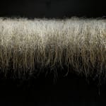 Yvonne Pacanovsky Bobrowicz, Cosmic Series Linear, 2008
