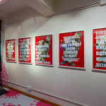 Aida Wilde, Staying Alert Collection - Stay The Fuck Home, 2020