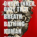 Aida Wilde, Staying Alert Collection - Stay The Fuck Home, 2020