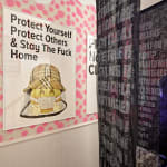 Aida Wilde, Staying Alert Collection - Stay The Fuck Home, 2020