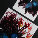 Sophie Hing Yee Cheung, CMYK Painting: Embodies Tree Branch and Human Cells, 2024