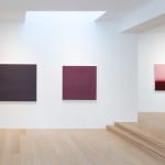 Teo González, Untitled # 469, 2007