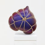 Adam Parker Smith, Shibari Heart (Chameleon), 2021