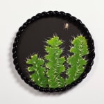Angela Valamanesh, Birds and bees 21, (Cactus with Spider), 2024