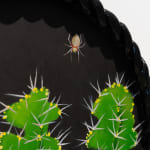 Angela Valamanesh, Birds and bees 21, (Cactus with Spider), 2024