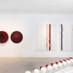 Marion Borgelt, Tsukimi Slice: Sequence A, 2012