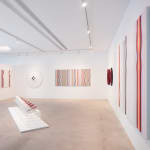 Marion Borgelt, Tsukimi Slice: Sequence A, 2012