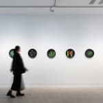 Angela Valamanesh, The Anatomy of Plants and Animals no. 2, 2013