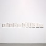 Angela Valamanesh, The Anatomy of Plants and Animals no. 2, 2013