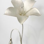 Sophie Carnell, Wahlenbergia stricta/Tall bluebell, 2025