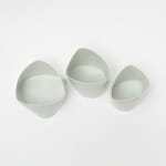 Prue Venables, Bryscyte trio II, 2025