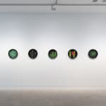Angela Valamanesh, The Anatomy of Plants and Animals no. 2, 2013