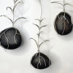 Sophie Carnell, Wahlenbergia stricta/Tall bluebell, 2025