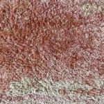 TibetSydney, ORESTINA’S GATHERING, 2022