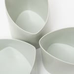 Prue Venables, Bryscyte trio II, 2025