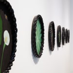 Angela Valamanesh, Birds and bees 21, (Cactus with Spider), 2024