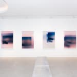 David Tate, Emu's Dream, 2024