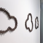 Angela Valamanesh, Birds and bees 21, (Cactus with Spider), 2024