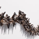 Angela Valamanesh, Birds and bees 21, (Cactus with Spider), 2024
