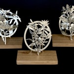 Sophie Carnell, Leatherwood / Eucryphia lucida, 2025