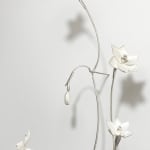 Angela Valamanesh, Birds and bees 20, (Wattle with Butterfly), 2024