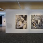 Izabela Pluta, Blue spectrum and descent 4 (Variation 2), 2020