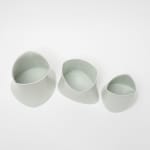Prue Venables, Bryscyte trio II, 2025