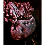Izabela Pluta, Coral Study, 2025