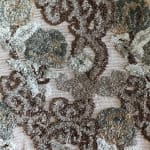 TibetSydney, ORESTINA’S GATHERING, 2022