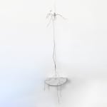 Sophie Carnell, Caladenia filamentosa / Daddy-long-legs, 2023