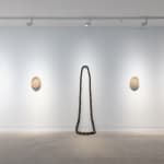 Angela Valamanesh, Birds and bees 21, (Cactus with Spider), 2024