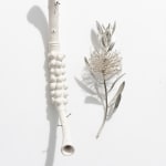Sophie Carnell, silent sentinel I (Acianthus caudatus -mayfly orchid), 2020