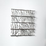Angela Valamanesh, The Anatomy of Plants and Animals no. 2, 2013