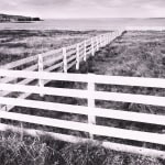 Thomas Harding, Sunset, Louisiana Gulf Coast, c. 1983
