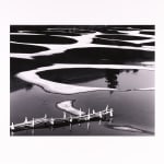 Thomas Harding, Sunset, Louisiana Gulf Coast, c. 1983