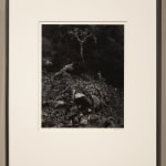 Carleton Watkins, Agassiz Rock from Union Pt, Yosemite, 1878-81