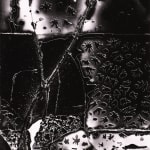 Thomas Harding, Sunset, Louisiana Gulf Coast, c. 1983