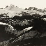 Ansel Adams, Sierra Junipers, Upper Merced Basin, Yosemite Valley, c. 1923