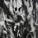Brett Weston, Cracked Plastic, Garrapata, 1955