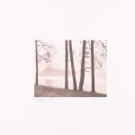 Thomas Harding, Sunset, Louisiana Gulf Coast, c. 1983