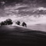 Thomas Harding, Sunset, Louisiana Gulf Coast, c. 1983