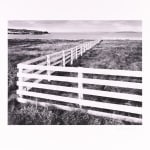 Thomas Harding, Sunset, Louisiana Gulf Coast, c. 1983