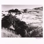 Steve Crouch, Diablo Range, Southern Monterey County, CA, 1974