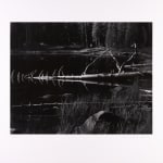 Thomas Harding, Sunset, Louisiana Gulf Coast, c. 1983