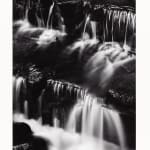 Ansel Adams, Fern Springs, Dusk, Yosemite, 1961