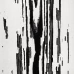Brett Weston, Wigwam Burner, 1971