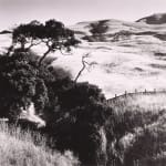 Steve Crouch, Diablo Range, Southern Monterey County, CA, 1974