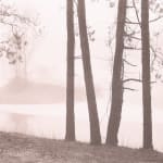 Thomas Harding, Sunset, Louisiana Gulf Coast, c. 1983